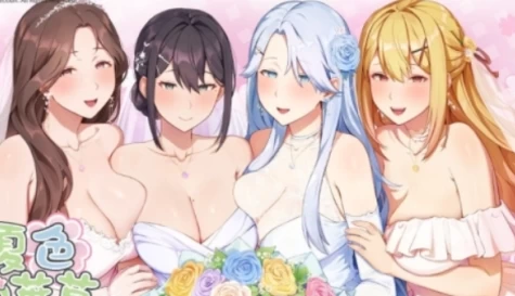 夏色授业 存档+官方中文电脑版