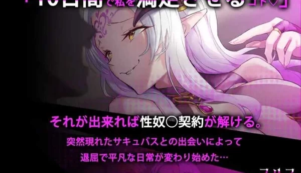 魅魔咏叹调 アリアサキュズム Ver1.1 个人精翻汉化版 PC平台 RPG类型
