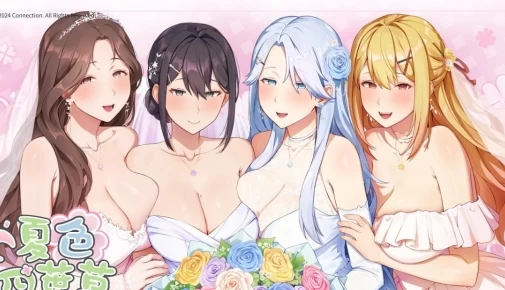 夏日四叶草 官方中文电脑版本